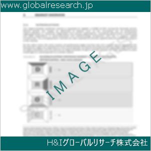 グローバルリサーチ調査資料のイメージ